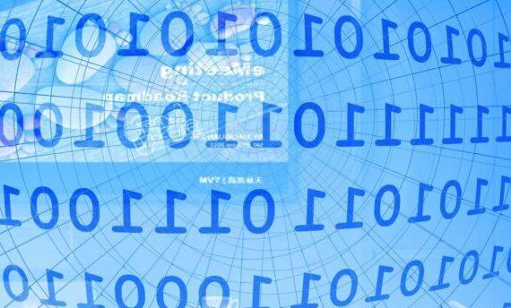 IT company cobait smaller scaled